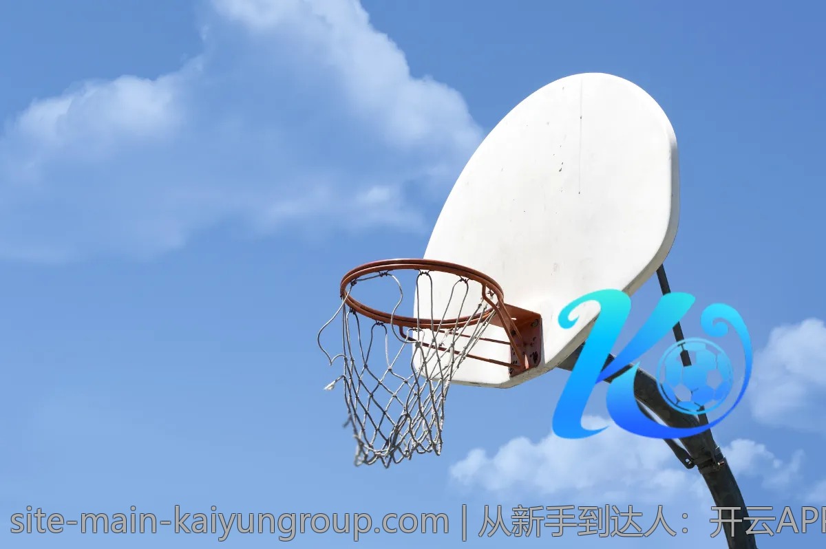 从新手到达人：开云APP使用经验分享